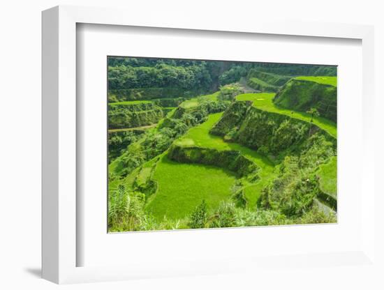 Hapao Rice Terraces, Part of the World Heritage Site Banaue, Luzon, Philippines-Michael Runkel-Framed Photographic Print