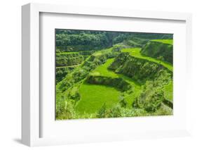 Hapao Rice Terraces, Part of the World Heritage Site Banaue, Luzon, Philippines-Michael Runkel-Framed Photographic Print