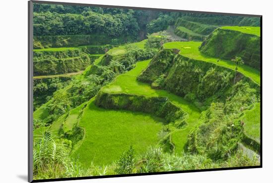 Hapao Rice Terraces, Part of the World Heritage Site Banaue, Luzon, Philippines-Michael Runkel-Mounted Photographic Print