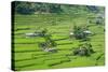 Hapao Rice Terraces, World Heritage Site, Banaue, Luzon, Philippines-Michael Runkel-Stretched Canvas