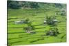 Hapao Rice Terraces, World Heritage Site, Banaue, Luzon, Philippines-Michael Runkel-Stretched Canvas