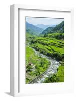 Hapao Rice Terraces, World Heritage Site, Banaue, Luzon, Philippines-Michael Runkel-Framed Photographic Print