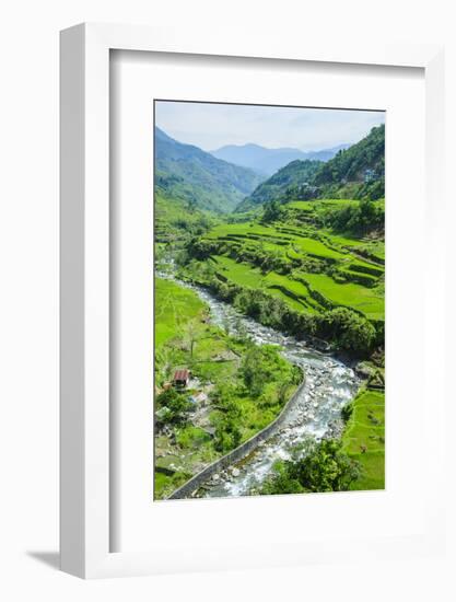 Hapao Rice Terraces, World Heritage Site, Banaue, Luzon, Philippines-Michael Runkel-Framed Photographic Print