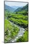 Hapao Rice Terraces, World Heritage Site, Banaue, Luzon, Philippines-Michael Runkel-Mounted Photographic Print