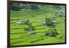 Hapao Rice Terraces, World Heritage Site, Banaue, Luzon, Philippines-Michael Runkel-Framed Photographic Print