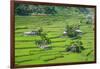 Hapao Rice Terraces, World Heritage Site, Banaue, Luzon, Philippines-Michael Runkel-Framed Photographic Print