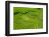 Hapao Rice Terraces, World Heritage Site, Banaue, Luzon, Philippines-Michael Runkel-Framed Photographic Print