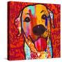Happiest Lab!-Evangeline Taylor-Stretched Canvas