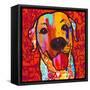 Happiest Lab!-Evangeline Taylor-Framed Stretched Canvas