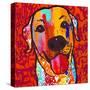 Happiest Lab!-Evangeline Taylor-Stretched Canvas