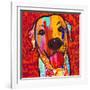 Happiest Lab!-Evangeline Taylor-Framed Art Print