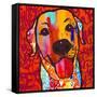 Happiest Lab!-Evangeline Taylor-Framed Stretched Canvas