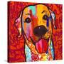 Happiest Lab!-Evangeline Taylor-Stretched Canvas