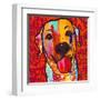 Happiest Lab!-Evangeline Taylor-Framed Art Print