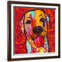 Happiest Lab!-Evangeline Taylor-Framed Premium Giclee Print