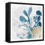Happiness Beach 3-Kimberly Allen-Framed Stretched Canvas