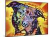 Happiness Is The Pits Sunray, Dogs, Pets, Pit Bull, red and yellow, Pop Art, Stencils, Motivational-Russo Dean-Mounted Giclee Print