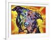 Happiness Is The Pits Sunray, Dogs, Pets, Pit Bull, red and yellow, Pop Art, Stencils, Motivational-Russo Dean-Framed Giclee Print