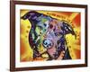 Happiness Is The Pits Sunray, Dogs, Pets, Pit Bull, red and yellow, Pop Art, Stencils, Motivational-Russo Dean-Framed Giclee Print