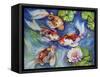 Happiness Koi Dance-Marcia Baldwin-Framed Stretched Canvas