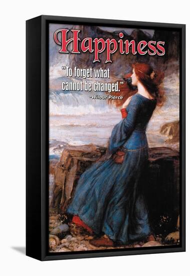 Happiness-null-Framed Stretched Canvas