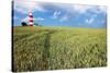 Happisburgh Lighthouse, Norfolk-Geraint Tellem-Stretched Canvas