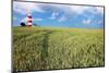 Happisburgh Lighthouse, Norfolk-Geraint Tellem-Mounted Photographic Print