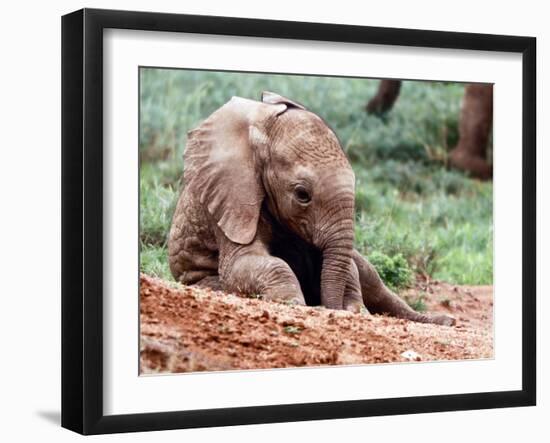 Happy Babe, Loisaba, 2017-Eric Meyer-Framed Photographic Print