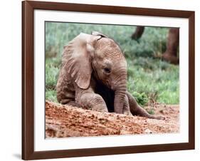 Happy Babe, Loisaba, 2017-Eric Meyer-Framed Photographic Print