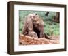 Happy Babe, Loisaba, 2017-Eric Meyer-Framed Photographic Print