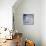 Happy Bears-David Cooke-Mounted Premium Giclee Print displayed on a wall