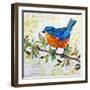 Happy Bird I-Elizabeth St. Hilaire-Framed Art Print