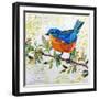 Happy Bird I-Elizabeth St. Hilaire-Framed Art Print