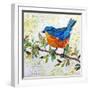 Happy Bird I-Elizabeth St. Hilaire-Framed Art Print