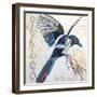 Happy Bird II-Elizabeth St. Hilaire-Framed Art Print