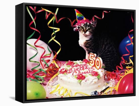 Happy Birthday Chessie!-null-Framed Stretched Canvas