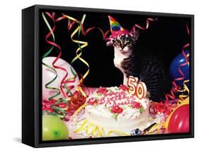 Happy Birthday Chessie!-null-Framed Stretched Canvas