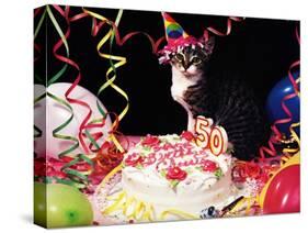 Happy Birthday Chessie!-null-Stretched Canvas