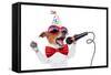 Happy Birthday Dog Singing-Javier Brosch-Framed Stretched Canvas