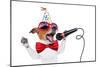 Happy Birthday Dog Singing-Javier Brosch-Mounted Photographic Print