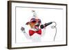 Happy Birthday Dog Singing-Javier Brosch-Framed Photographic Print