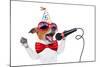 Happy Birthday Dog Singing-Javier Brosch-Mounted Photographic Print