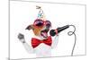 Happy Birthday Dog Singing-Javier Brosch-Mounted Photographic Print