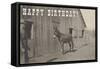 Happy Birthday, Mule and Man-null-Framed Stretched Canvas