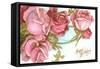 Happy Birthday, Roses-null-Framed Stretched Canvas