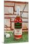 Happy Birthday, Whiskey and Golf-null-Mounted Art Print