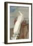 Happy Birthday White Peacock-null-Framed Art Print