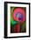 Happy Birthday-Ursula Abresch-Framed Photographic Print