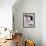 Happy Bloom on Black I-Lanie Loreth-Framed Art Print displayed on a wall
