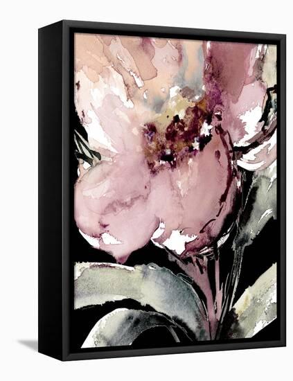 Happy Bloom on Black II-Lanie Loreth-Framed Stretched Canvas